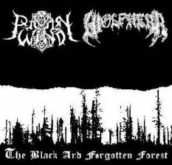 Pagan Wind (BRA) : The Black and Forgotten Forest